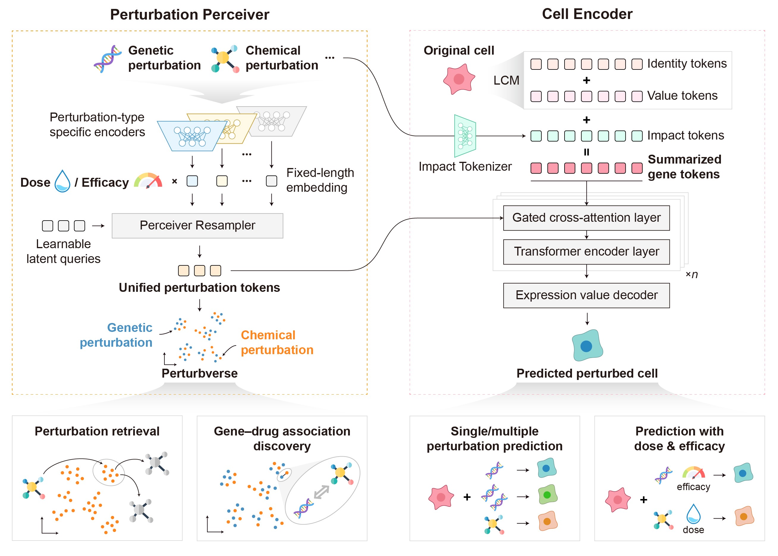 X-Pert model overview